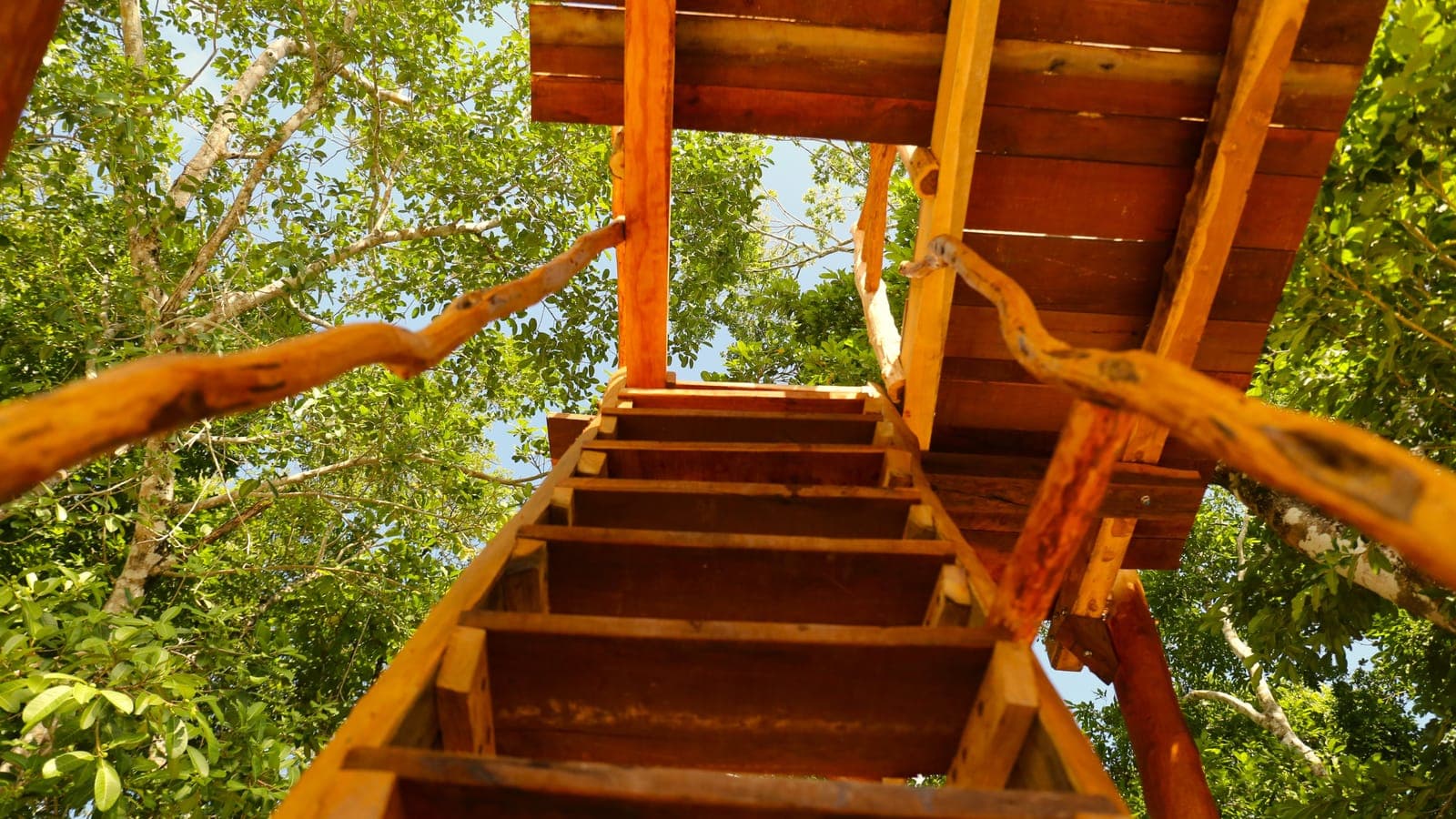Looking up the wooden ladder to the top of the jumping tower